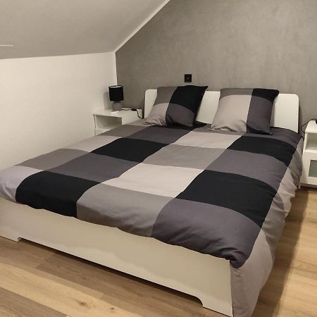 Le Business, Duplex Moderne Special Pro De Passage Apartment Sarreguemines Luaran gambar