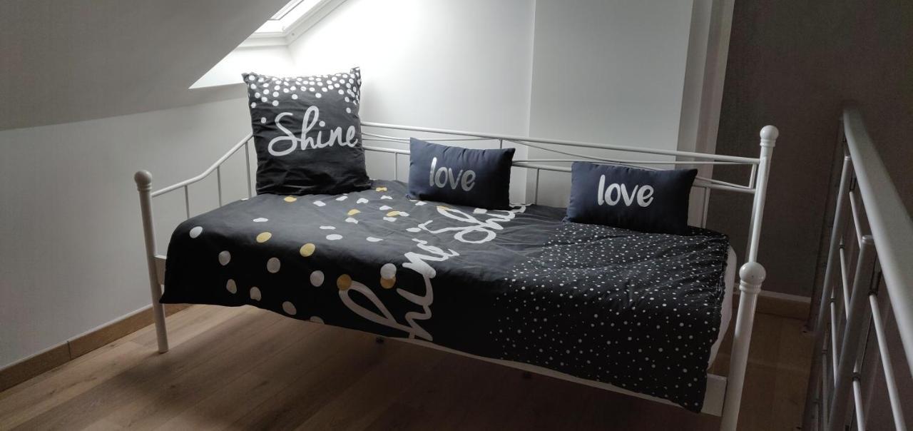 Le Business, Duplex Moderne Special Pro De Passage Apartment Sarreguemines Luaran gambar