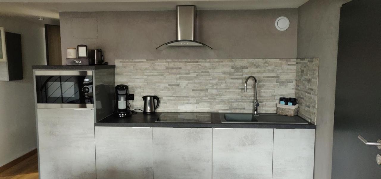 Le Business, Duplex Moderne Special Pro De Passage Apartment Sarreguemines Luaran gambar