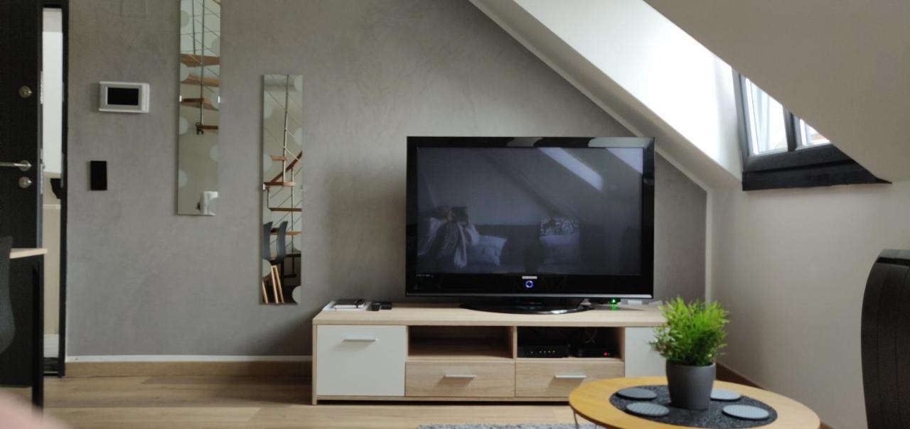 Le Business, Duplex Moderne Special Pro De Passage Apartment Sarreguemines Luaran gambar
