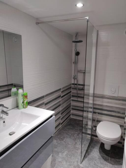 Le Business, Duplex Moderne Special Pro De Passage Apartment Sarreguemines Luaran gambar