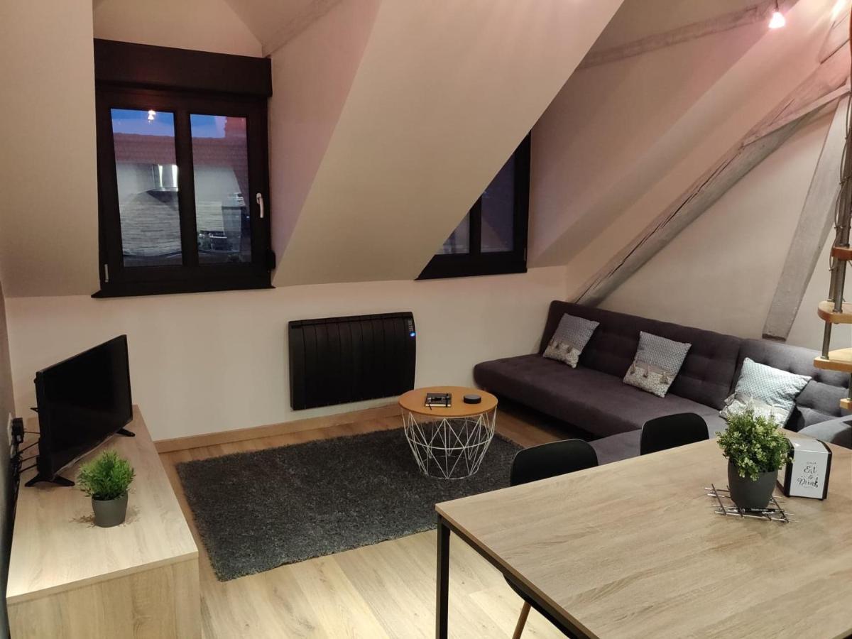 Le Business, Duplex Moderne Special Pro De Passage Apartment Sarreguemines Luaran gambar