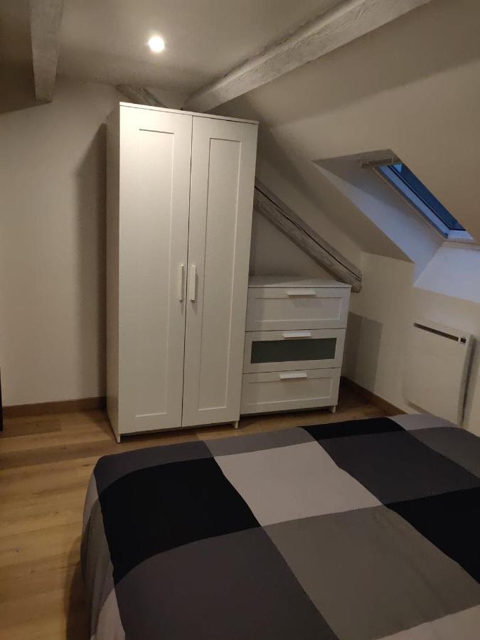Le Business, Duplex Moderne Special Pro De Passage Apartment Sarreguemines Luaran gambar